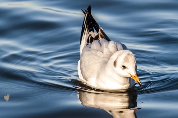 静电鱼 金牛座星运详解【周运8月7日-8月13日】