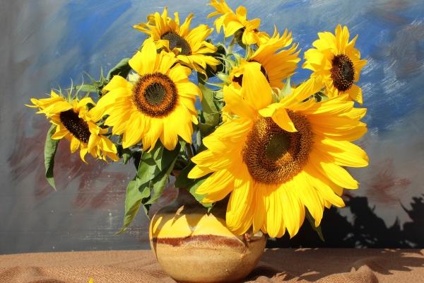 母亲去世一年内可以结婚吗,守孝期间需要注意什么