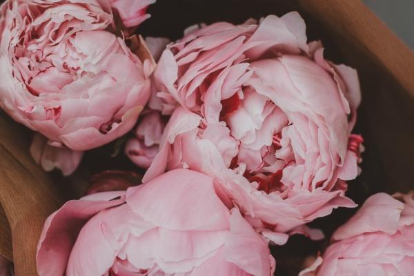 2023年9月23日动土好不好 适合建房子吗