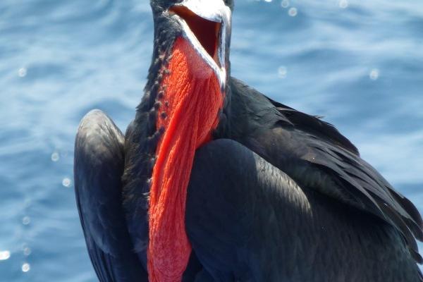 2024要犯太岁的生肖 什么叫做犯太岁