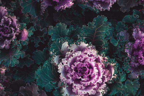 静电鱼 射手座星运详解【周运8月7日-8月13日】