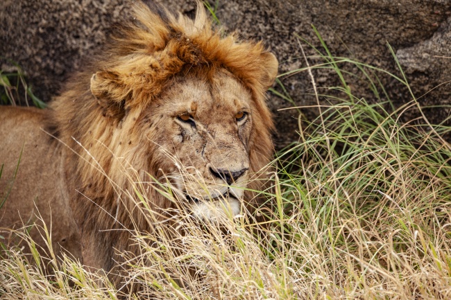小孩子12岁正冠之礼讲究,流程有哪些