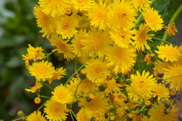 天蝎座为啥最疼爱射手座?天蝎最爱射手的原因!