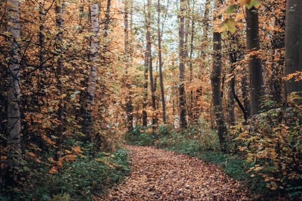 2023年9月14日是结婚的好日子吗 办喜事吉利吗