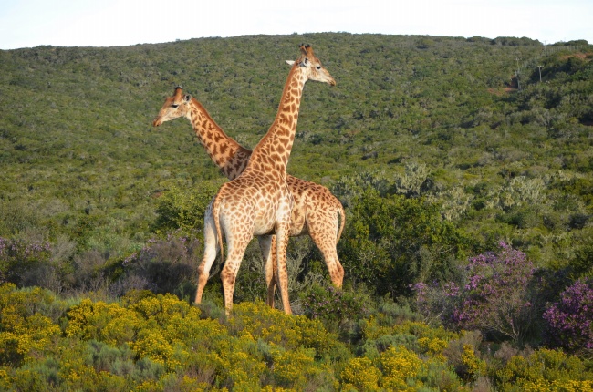 2023年9月24日搬家日子好不好 是乔迁大吉日吗