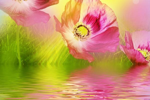 2023年9月13日可以开业吗 是不是开业良机