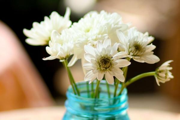 唐立淇 每日12星座运势8.18