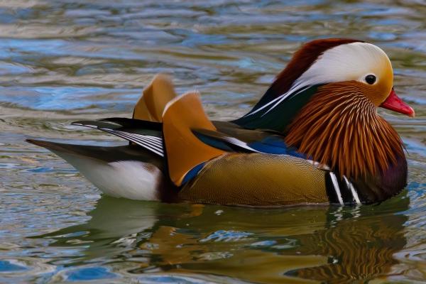 2023年9月19日结婚好吗 今天日子好吗