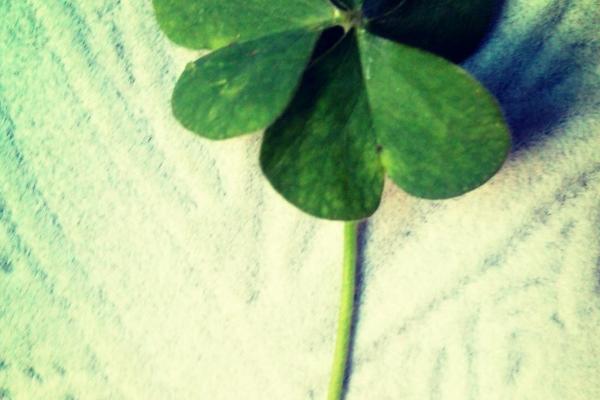 2023年9月12日可以领证吗 登记结婚合不合适