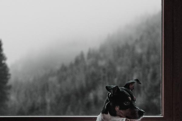 Alex 射手座本周运势详解8.07—8.13