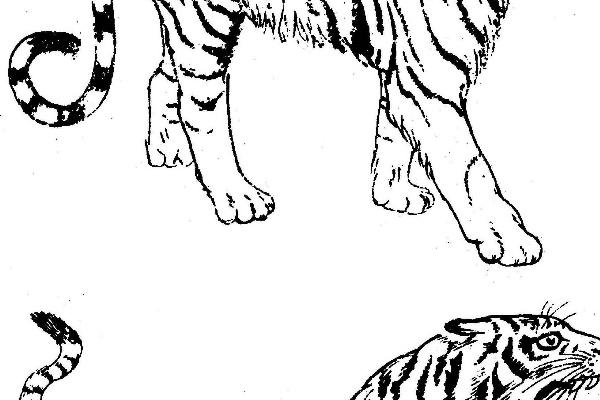 2023年9月1日入宅好吗 是入宅最旺日子吗