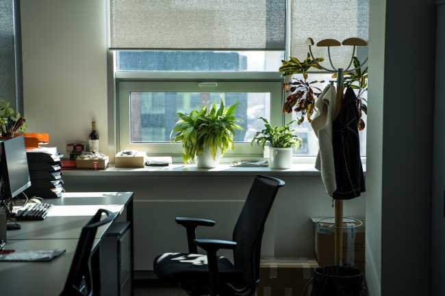 10月烂桃花最多的生肖2024年 猴蛇狗容易有感情纠葛