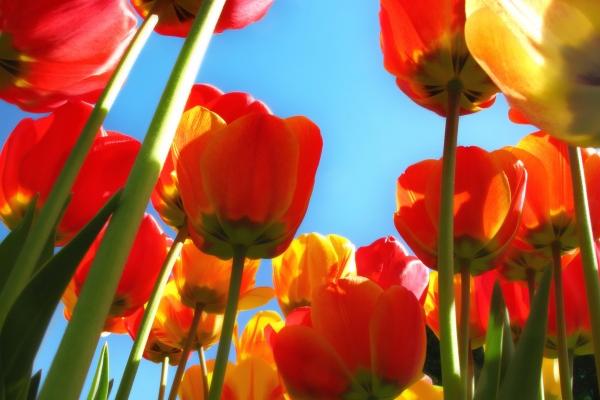 2023年9月30日结婚黄道吉日 今天日子好吗