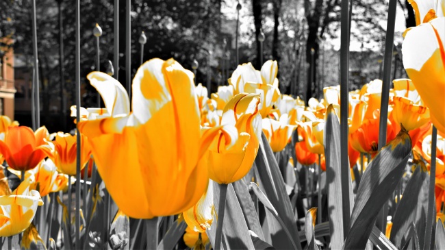 唐立淇 每日12星座运势8.8