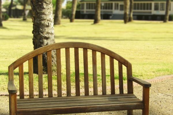 1988年属龙人2024年全年运势详解 36岁生肖龙2024年每月运势