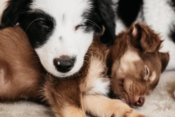 百变巫女 12星座本周运势8.07-8.13