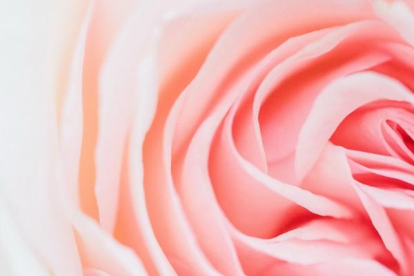 和狮子座男生吵架后冷战怎么办,一招就能解决!