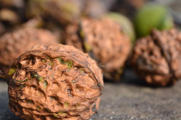 2023年9月19日搬家好吗 是乔迁大吉日吗