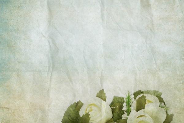 射手座为什么不能碰双鱼座?射手座为什么不能配双鱼?