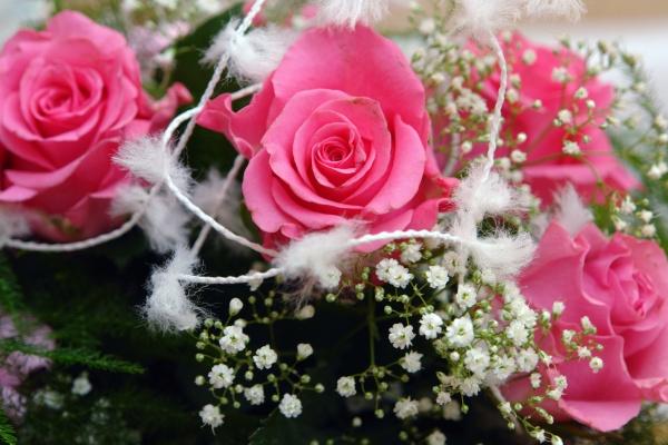 Alex 双鱼座本周运势详解8.07—8.13