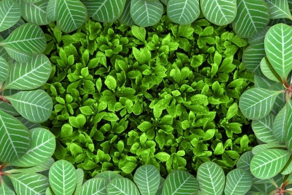 狂月天时 0814每日星座运势