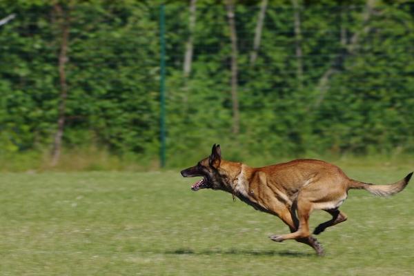 巨蟹男忽冷忽热是套路吗?巨蟹男忽冷忽热代表什么?