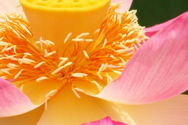 2023年9月20日结婚黄道吉日 办喜事吉利吗