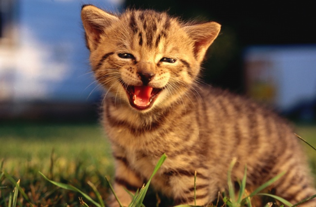 判答 12星座周运详解8.07—8.13