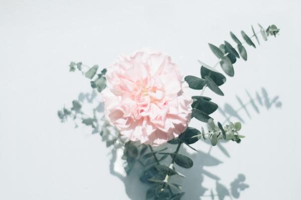 被白羊女吃得死死的星座,这些星座被吃定了!