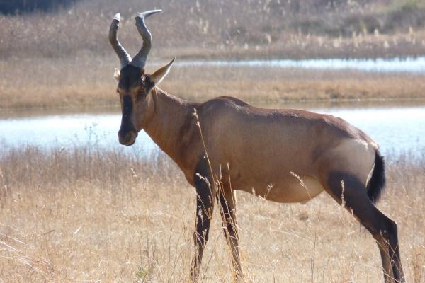 2023年9月29日可以安门吗 中秋是安门吉日吗