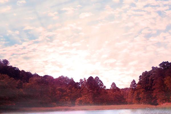 Alex 白羊座本周运势详解8.07—8.13