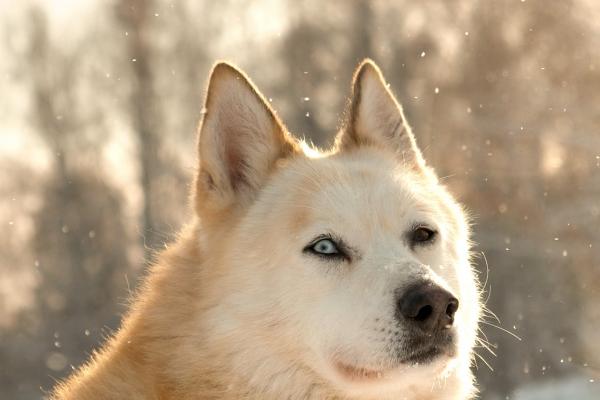 2023年9月7日宜安门吗 是安装门户吉日吗