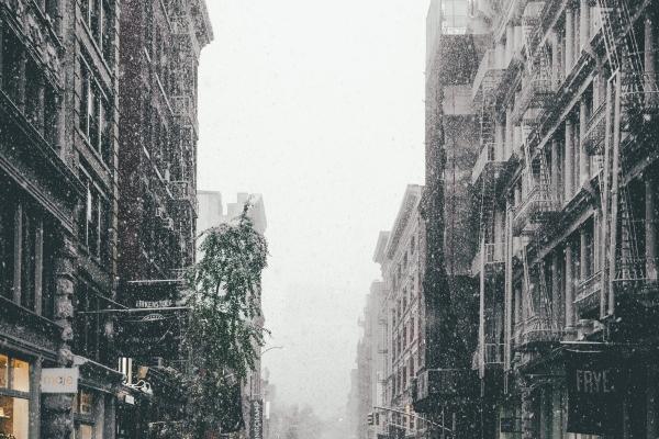 苏珊米勒 今日星座运势查询8.17