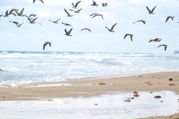 2023年9月24日适合安门吗 安门怎么样