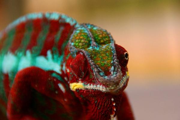 2023年下半年最幸运的星座,下半年超好运的星座!