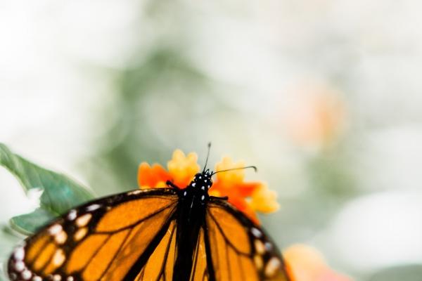 2023年9月27日宜安门吗 是安门黄道吉日吗