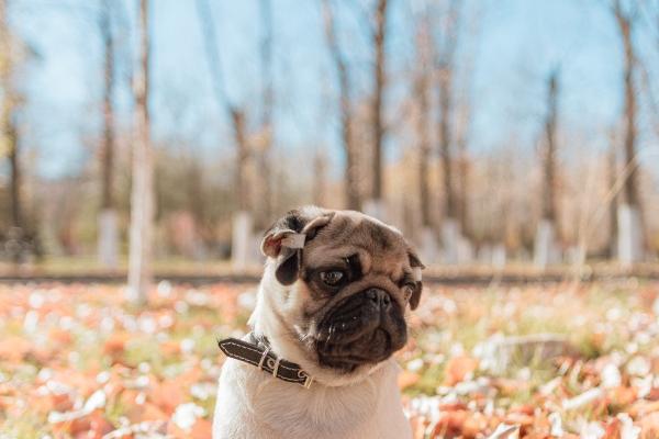 2023年9月13日可以装修吗 适合装修新房子吗