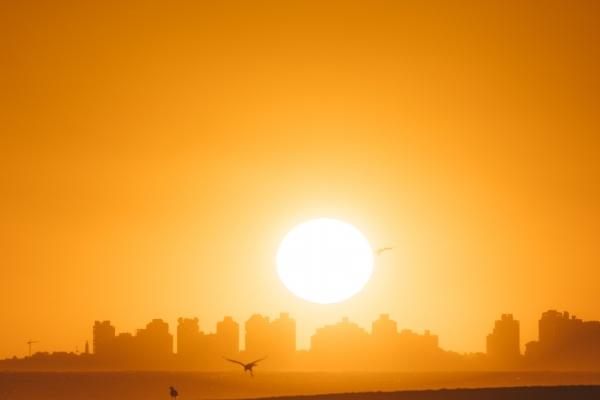 2024年富婆的星座女 四个提升财运小妙招