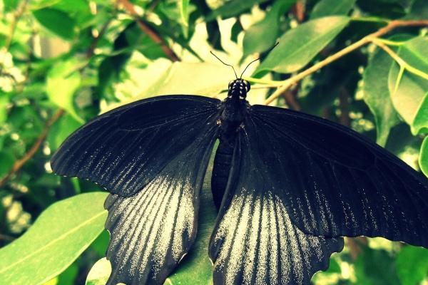 狂月天时 0824每日星座运势