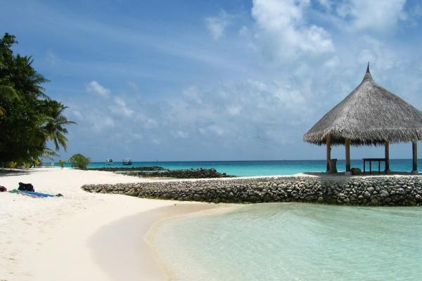 白羊男真爱巨蟹女,白羊爱巨蟹的原因?