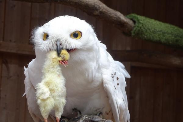 2023年9月23日装修好不好 今日装修吉时查询