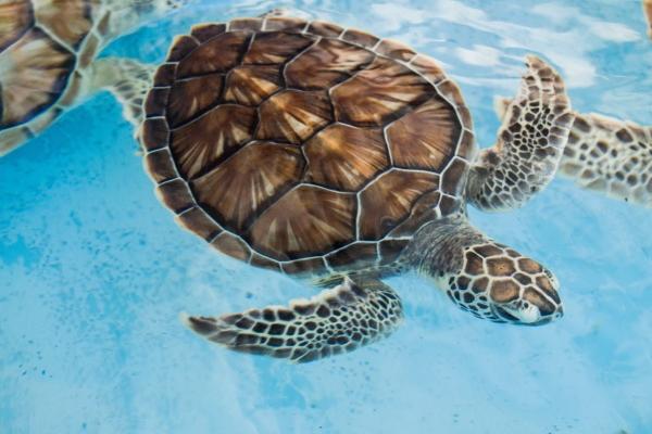 迟早要暴富的三大星座,有没有你？