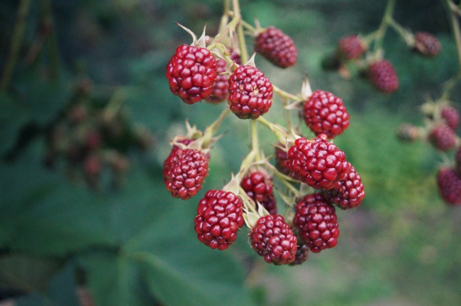 静电鱼 射手座星运详解【周运8月21日-8月27日】