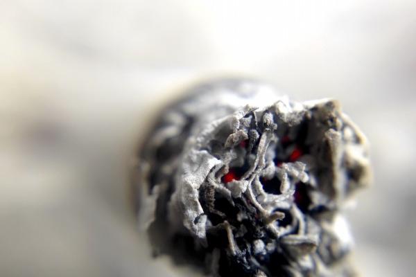 双子女最近桃花运势如何,如何提升桃花运