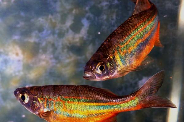 2024人生开挂的星座女,2024直接躺赢!