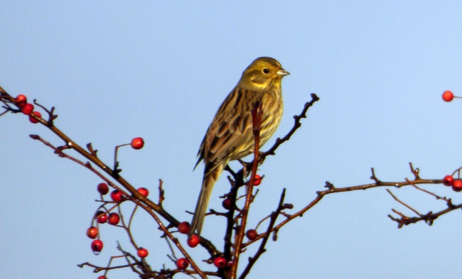 2023年9月9日结婚好吗 今天日子好吗