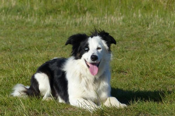 2023年9月6日适合结婚吗 今日嫁娶日子好不好