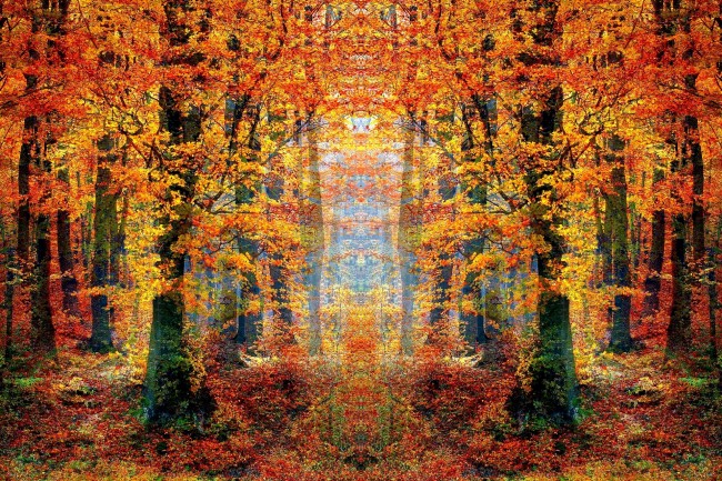 水瓶男离开你的前兆,水瓶座分手后还有挽回的可能吗?