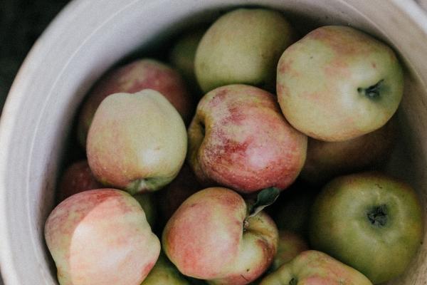 Alex 处女座本周运势详解8.21—8.27