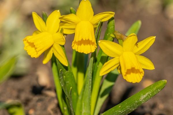 唐立淇 12星座一周运势2023.8.21—8.27